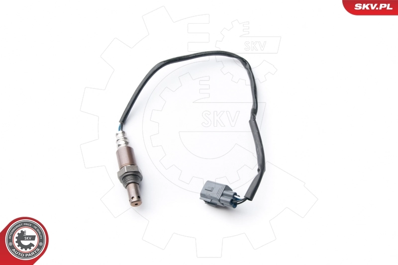 Oxygen Sensor